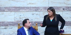 H Zωή Κωνσταντοπούλου στην ολομέλεια /