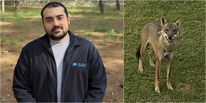 Ο υπεύθυνος Επικοινωνίας της Περιβαλλοντικής Οργάνωσης Καλλιστώ, Ιάσωνας Μπάντιος