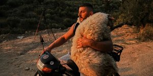 Πυρκαγιά Πάτρα πρόβατο