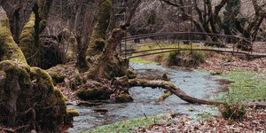 Φωτογραφία Shutterstock 