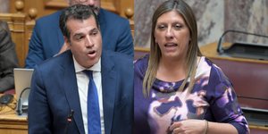 Θάνος Πλεύρης και Ζώη Κωνσταντόπουλου
