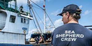Το σκάφος Sea Eagle της περιβαλλοντικής οργάνωσης Sea Shepherd