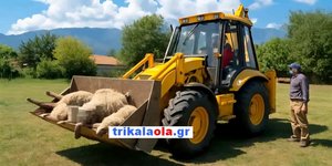 Όχημα του δήμου Τρικκαίων μεταφέρει προς ταφή νεκρά πρόβατα