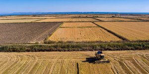 Ρυζοκαλλιέργεια