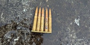 Kάλυκες Ντάλλας