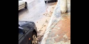 Η ελληνική πατέντα που «έριξε» το διαδίκτυο -Για ποιον λόγο έδεσαν αυτοκίνητο με σκοινί σε κολόνα