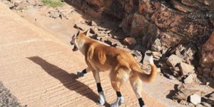 Ταξίδεψε 100 χιλιόμετρα μέσα στην έρημο με μια ομάδα ποδηλατών και η χειρονομία ενός από αυτούς άλλαξε τη ζωή του