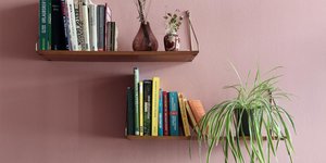 Φυτά στο σαλόνι