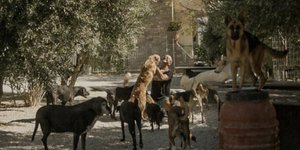 Η συγκινητική ιστορία του Takis Shelter 