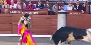 ταυρομαχία