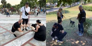 Έλεγχοι και πρόστιμα σε ιδιοκτήτες ζώων συντροφιάς