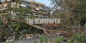 Πτώσεις δένδρων στο Βόλο