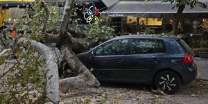 Πτώση δένδρου στη Θεσσαλονίκη