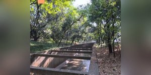 Το ρέμα Τικουατίρα στο Σάο Πάολο της Βραζιλίας έχει γύρω του ένα... χειροποίητο δάσος