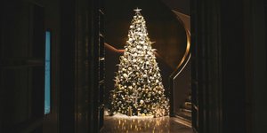 Αντίο στα παραδοσιακά λαμπάκια -Η τάση που κυριαρχεί φέτος τα Χριστούγεννα