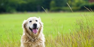 Φωτογραφία: shutterstock