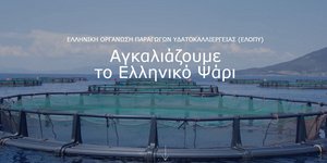 Ελληνική Οργάνωση Παραγωγών Ιχθυοκαλλιέργειας - ΕΛΟΠΥ