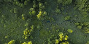 Επένδυση στο περιβάλλον, επένδυση στο μέλλον