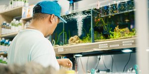 ΜΙκρομεσαια επιχείρηση