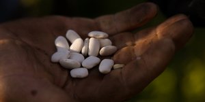 Φασόλια Πρεσπών