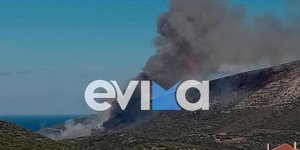 Φωτιά στην Παραλία Ζαράκων Ευβοίας