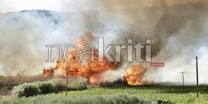 Φωτιά στις Μαλάδες Ηρακλείου
