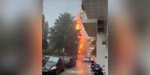 Ναύπακτος: Δέντρο άρπαξε φωτιά από κεραυνό, εν μέσω σφοδρής βροχόπτωσης