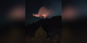 Ρόδος: Φωτιά σε δασική έκταση κοντά στα χωριά Αρχίπολη και Ελεούσα