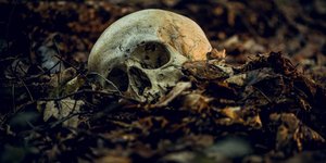 Το φυσικό ρολόι που αρχίζει να χτυπάει τη στιγμή που κάτι - ένα φυτό, ένα ζώο, ένας άνθρωπος - παύει να ζει / SHUTTERSTOCK