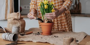 Φωτογραφία Shutterstock 