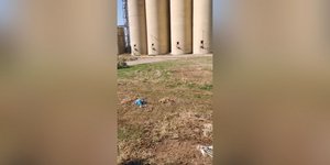 Ροδόπη νεκρά ζώα