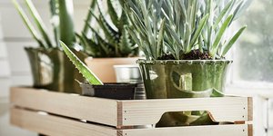 Ανθοστήλη ΙΚΕΑ