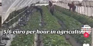  Βίντεο προσέλθαν αλλοδαπούς