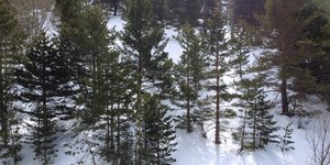 Καϊμακτσαλάν