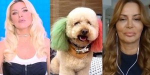 Η Κατερίνα Καινούργιου έλυσε on air την παρεξήγηση με την Μαρία Καλάβρια: