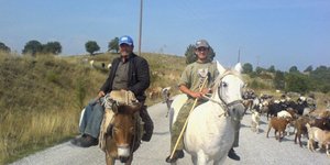 Μετακινούμενοι κτηνοτρόφοι