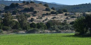 Παραχώρηση δημοτικής έκτασης για να ανασκαφεί και αναδειχθεί η αρχαία Αρίσβη