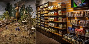 Μουσείο Φυσικής Ιστορίας Μετεώρων και Μουσείο Μανιταριών