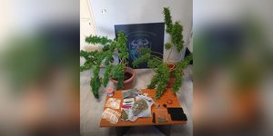 Ναρκωτικά Χανιά