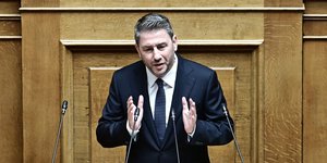 Ο Νίκος Ανδρουλάκης