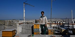 Μέλι από τις ταράτσες της Αθήνας/Φωτογραφία: AP