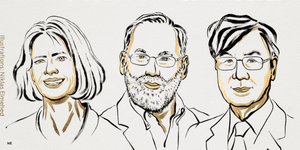 Νομπελ ιατρικής 2025