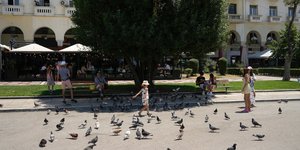 περιστερια αριστοτελους