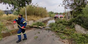 Πυροσβέστης σε σημείο που έπεσε δέντρο