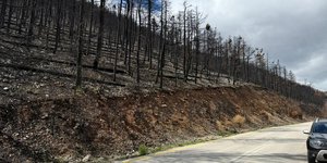 Αποκατάσταση καμένων στην Κορινθία απο το ΥΠΕΝ