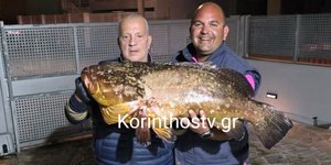 Ροφός Κορινθιακός