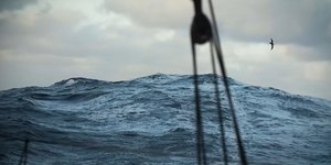 Σημείο Νέμο