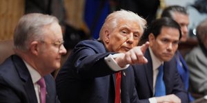 Τραμπ Αλμπανέζι