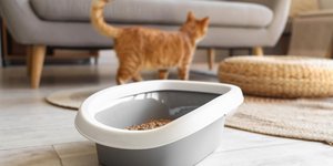 Φωτογραφία: Shutterstock