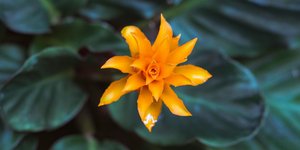 Φωτογραφία Unsplash 